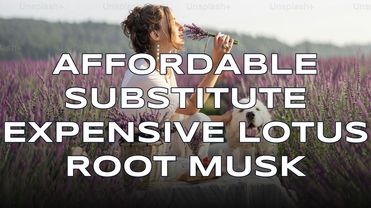 affordable substitute expensive lotus root musk