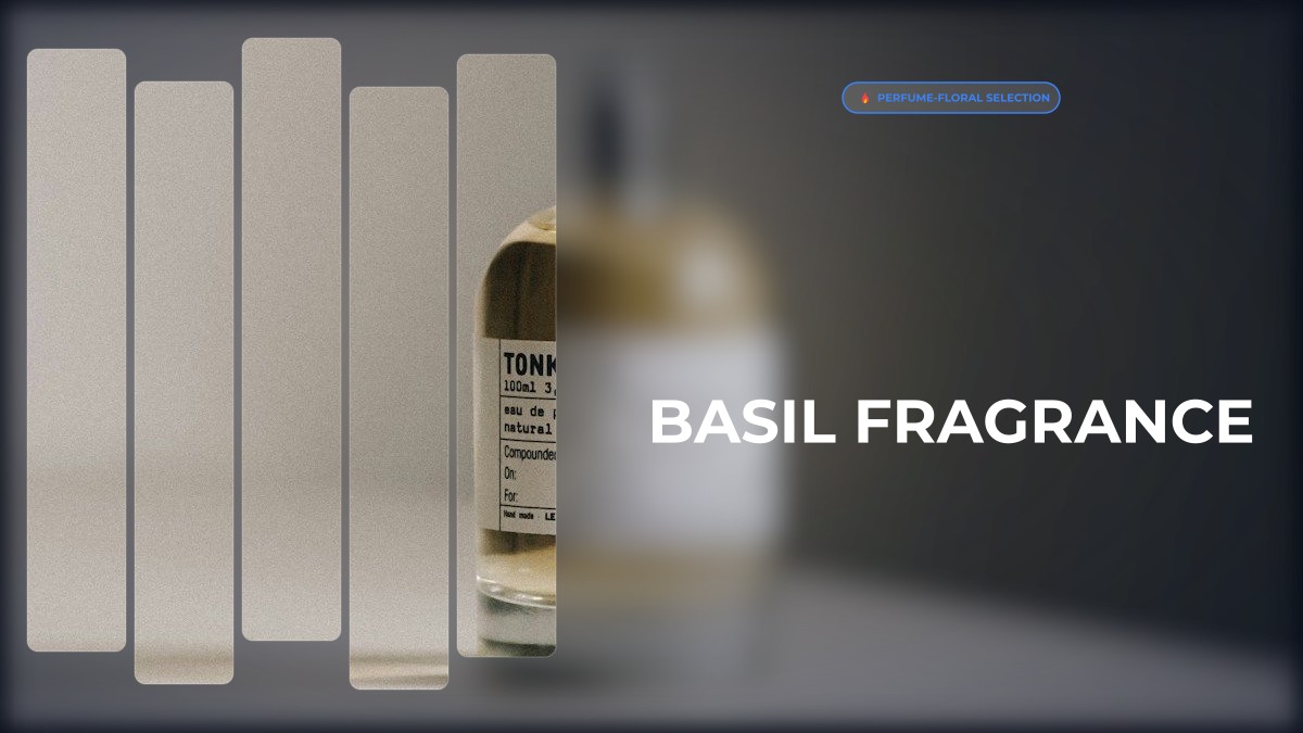 basil fragrance