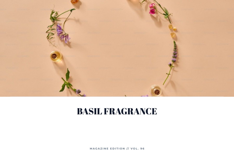 basil fragrance