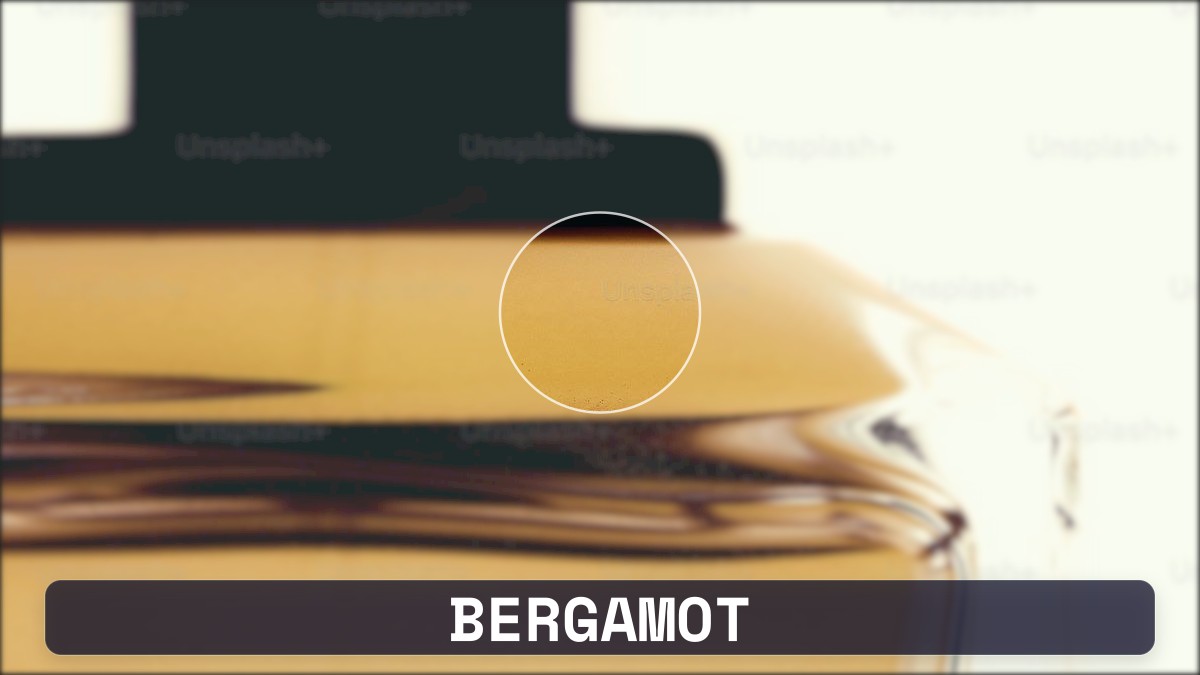 bergamot