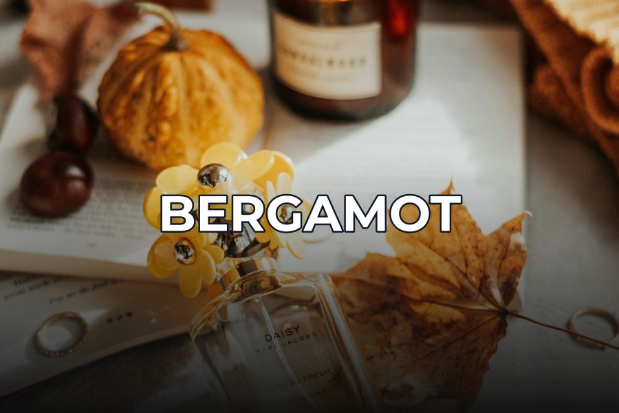 bergamot