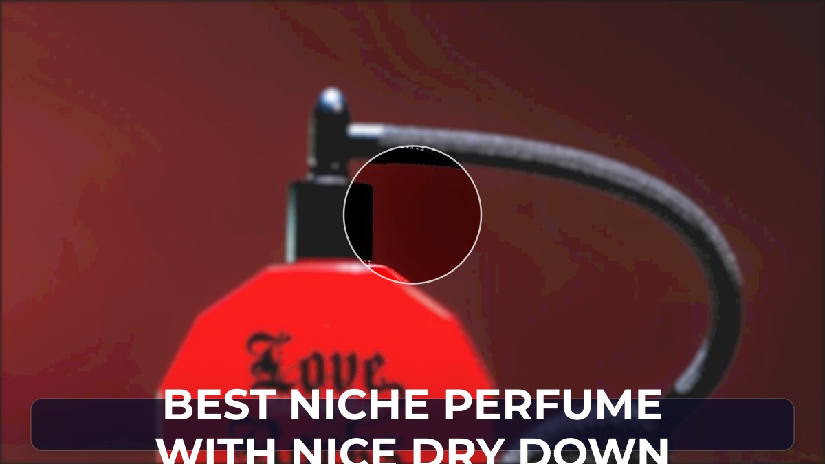 best niche perfume with nice dry down