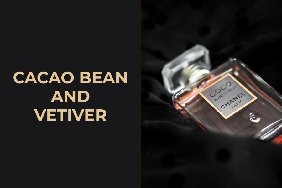 cacao bean and vetiver