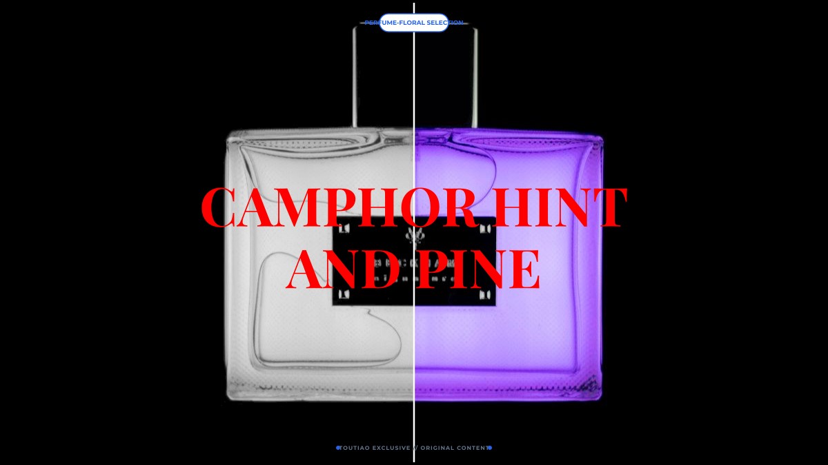 camphor hint and pine