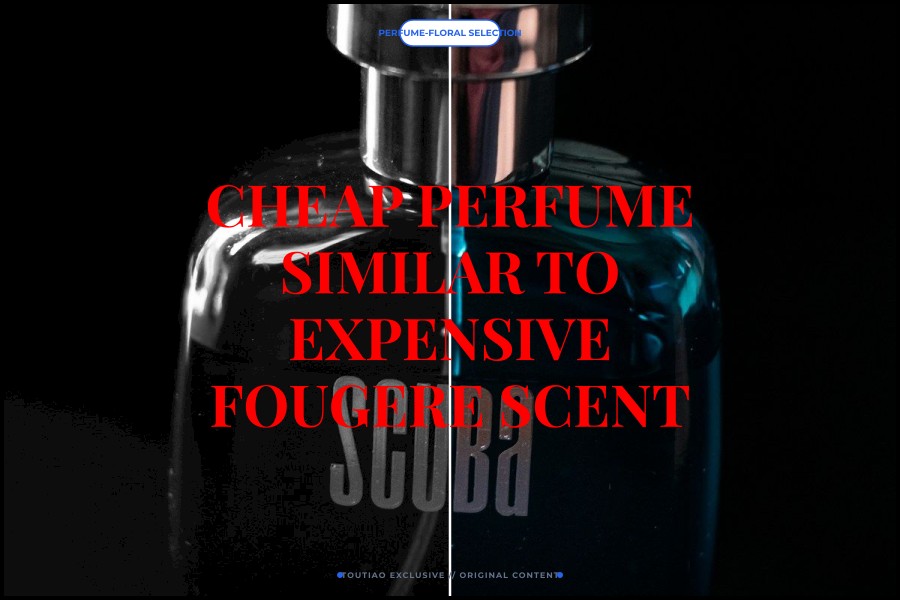 cheap perfume similar to expensive fougere scent