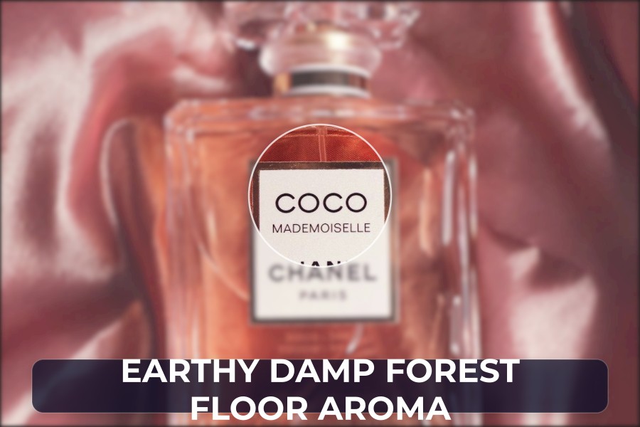 earthy damp forest floor aroma