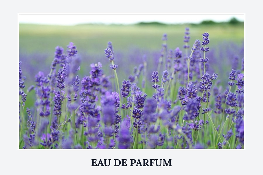 eau de parfum