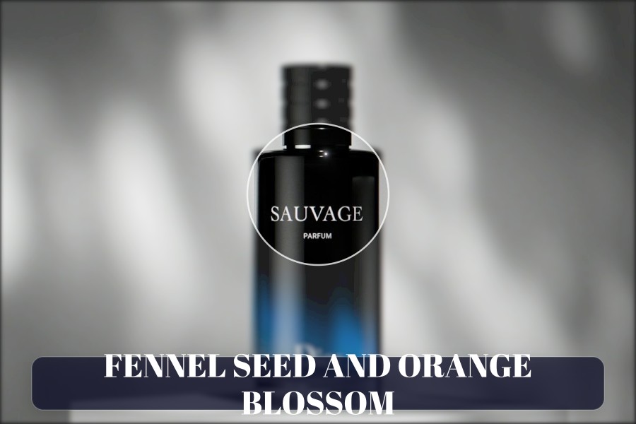 fennel seed and orange blossom
