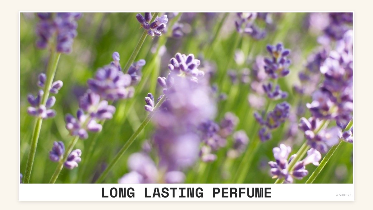 long lasting perfume