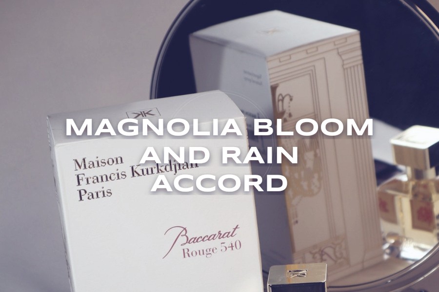 magnolia bloom and rain accord