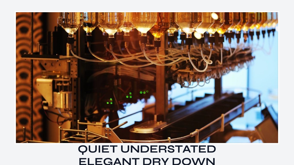 quiet understated elegant dry down