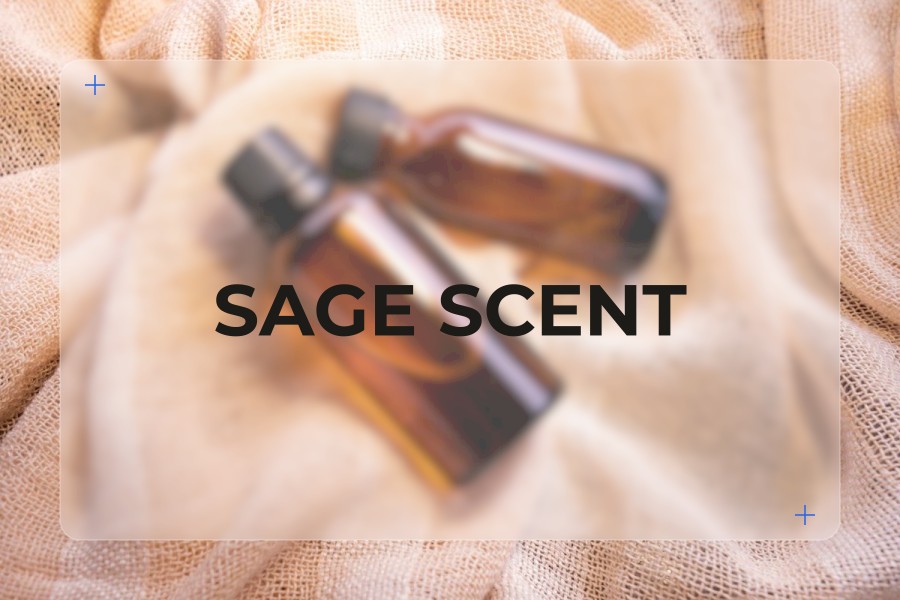 sage scent