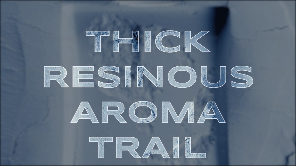 thick resinous aroma trail