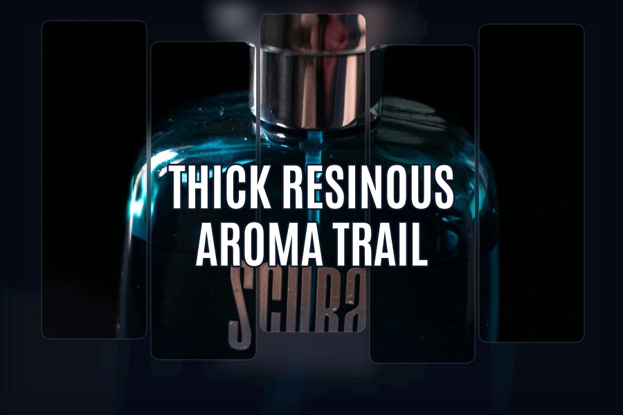 thick resinous aroma trail