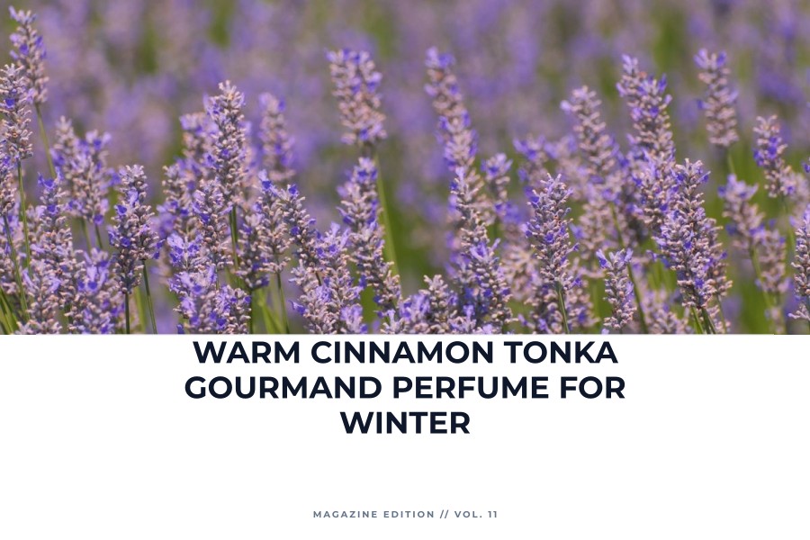 warm cinnamon tonka gourmand perfume for winter