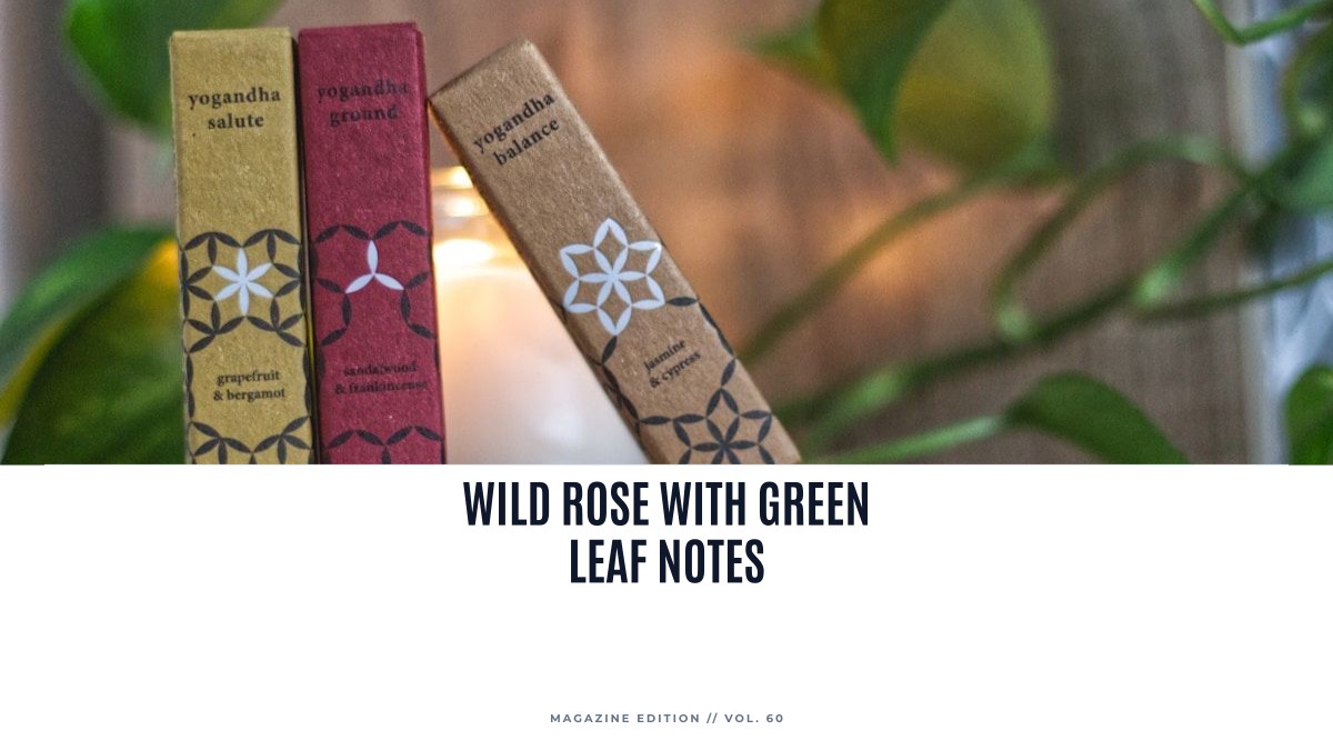 wild rose with green leaf notes