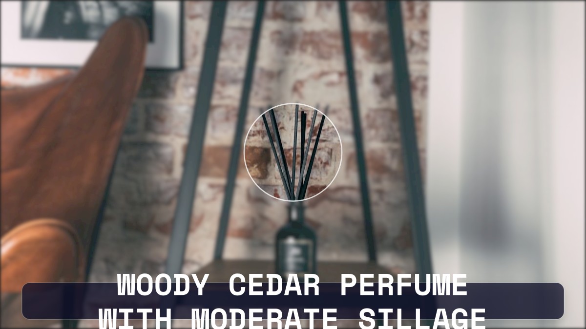 woody cedar perfume with moderate sillage