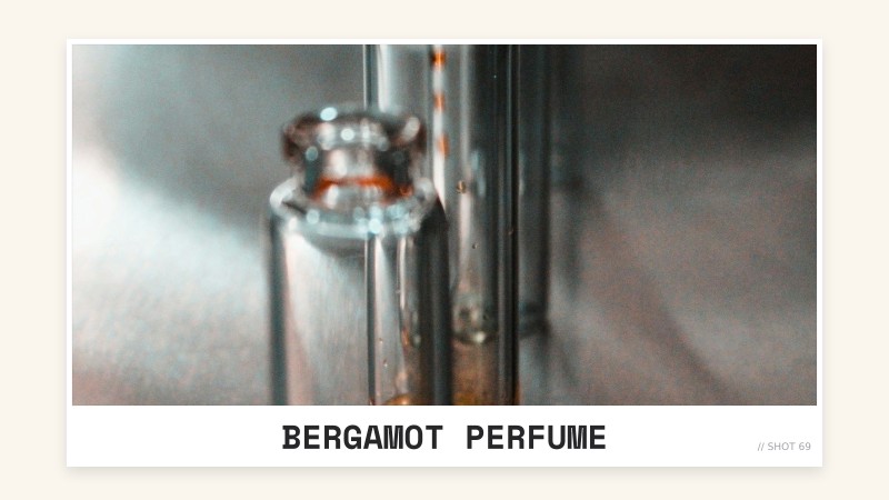 bergamot perfume