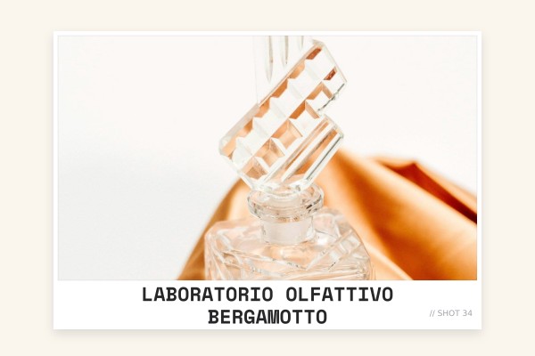 Laboratorio Olfattivo - Bergamotto