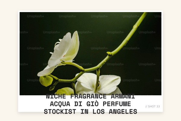 Niche Fragrance Armani Acqua di Giò perfume stockist in Los Angeles