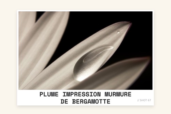 Plume Impression - Murmure de Bergamotte