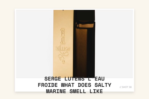 Serge Lutens L'Eau Froide what does salty marine smell like