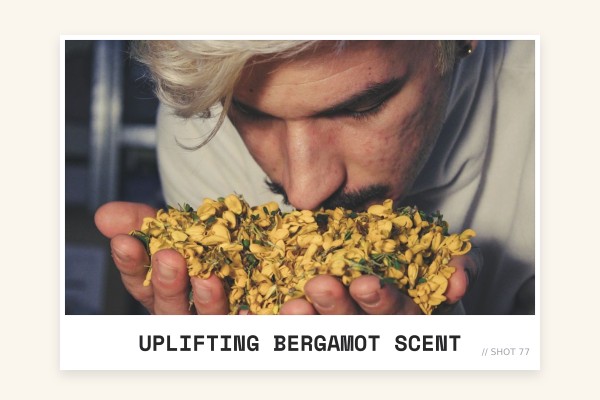 uplifting bergamot scent