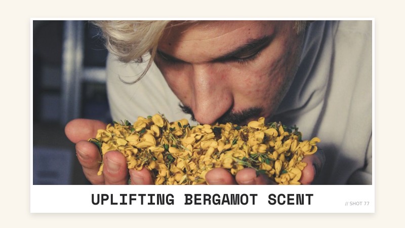 uplifting bergamot scent